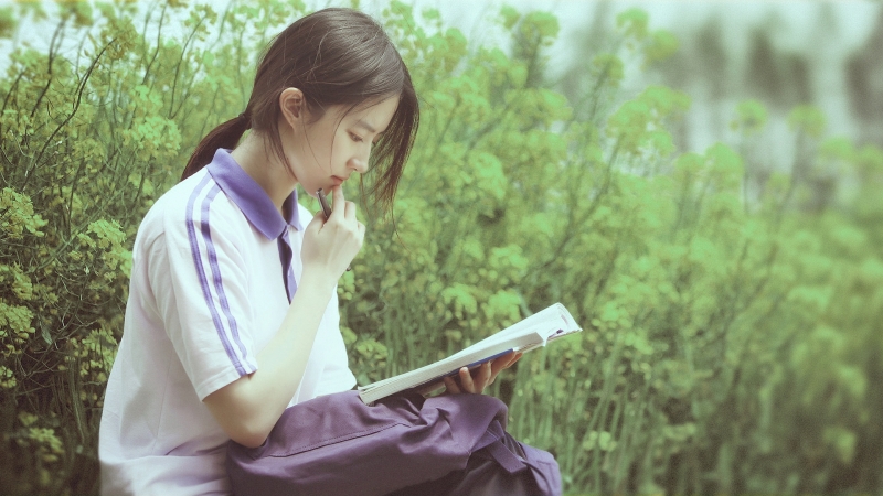 崩坏星穹铁道魈魅寻踪任务怎么做 魈魅寻踪任务攻略分享